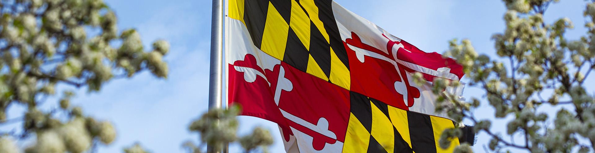 Maryland Flag