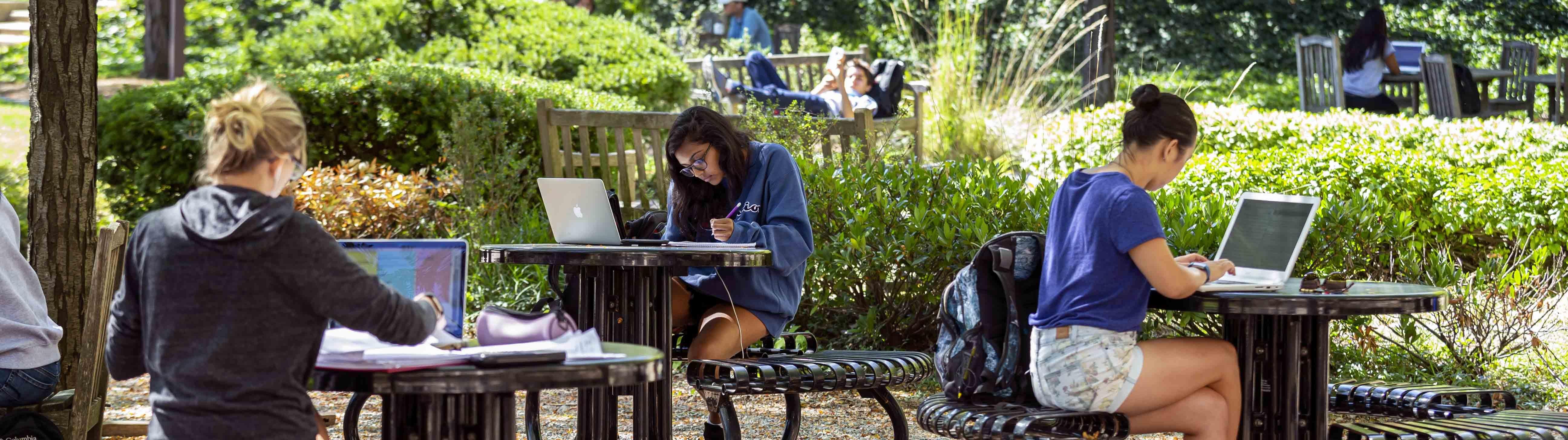 Students on computers outdoors