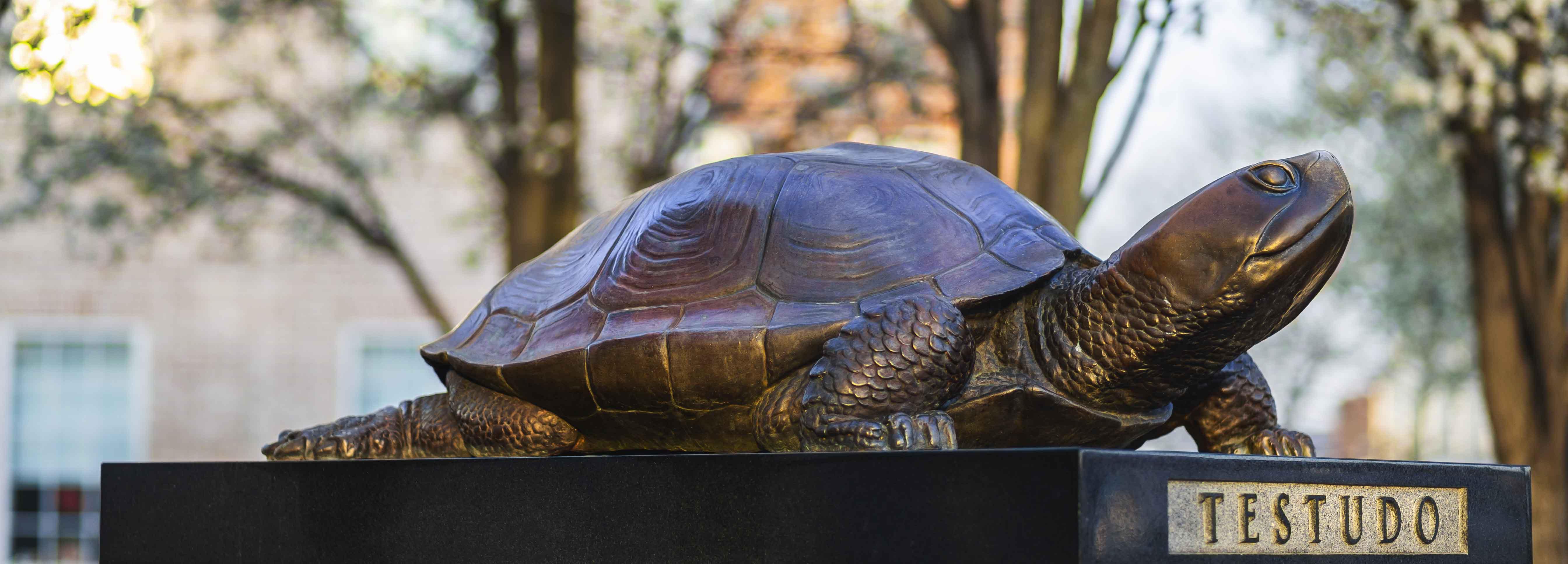 Testudo statue