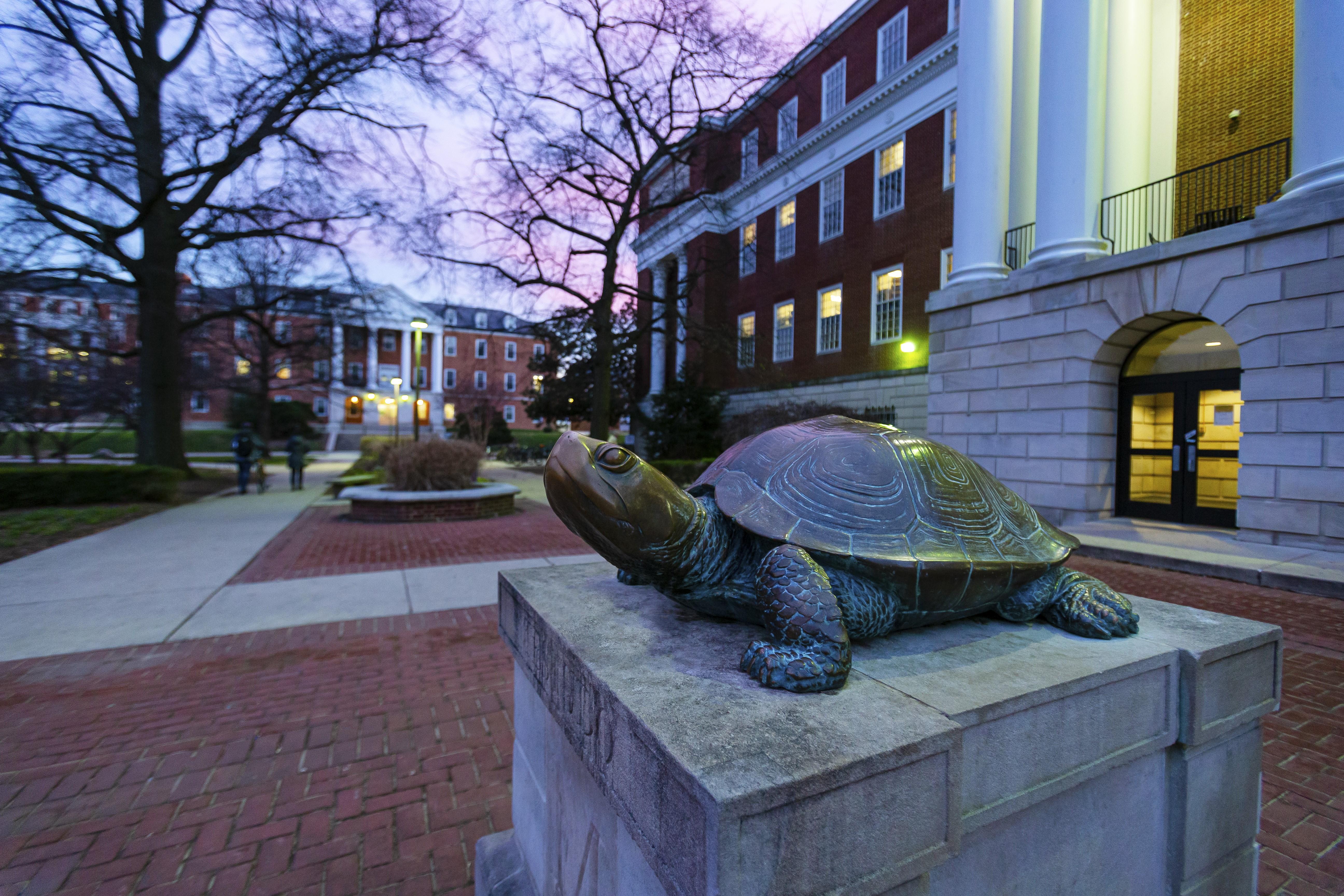 Testudo at dusk